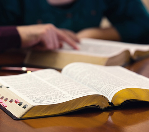 Pastores cristianos consultando la biblia